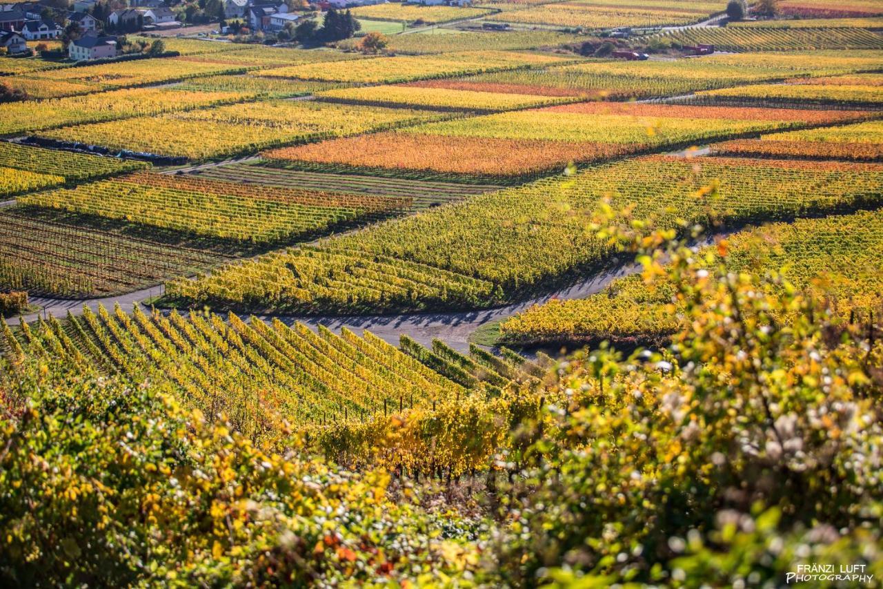 Rieslingquartier - Mosel Wein Hotel 크로프 외부 사진